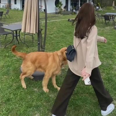 小兵传奇